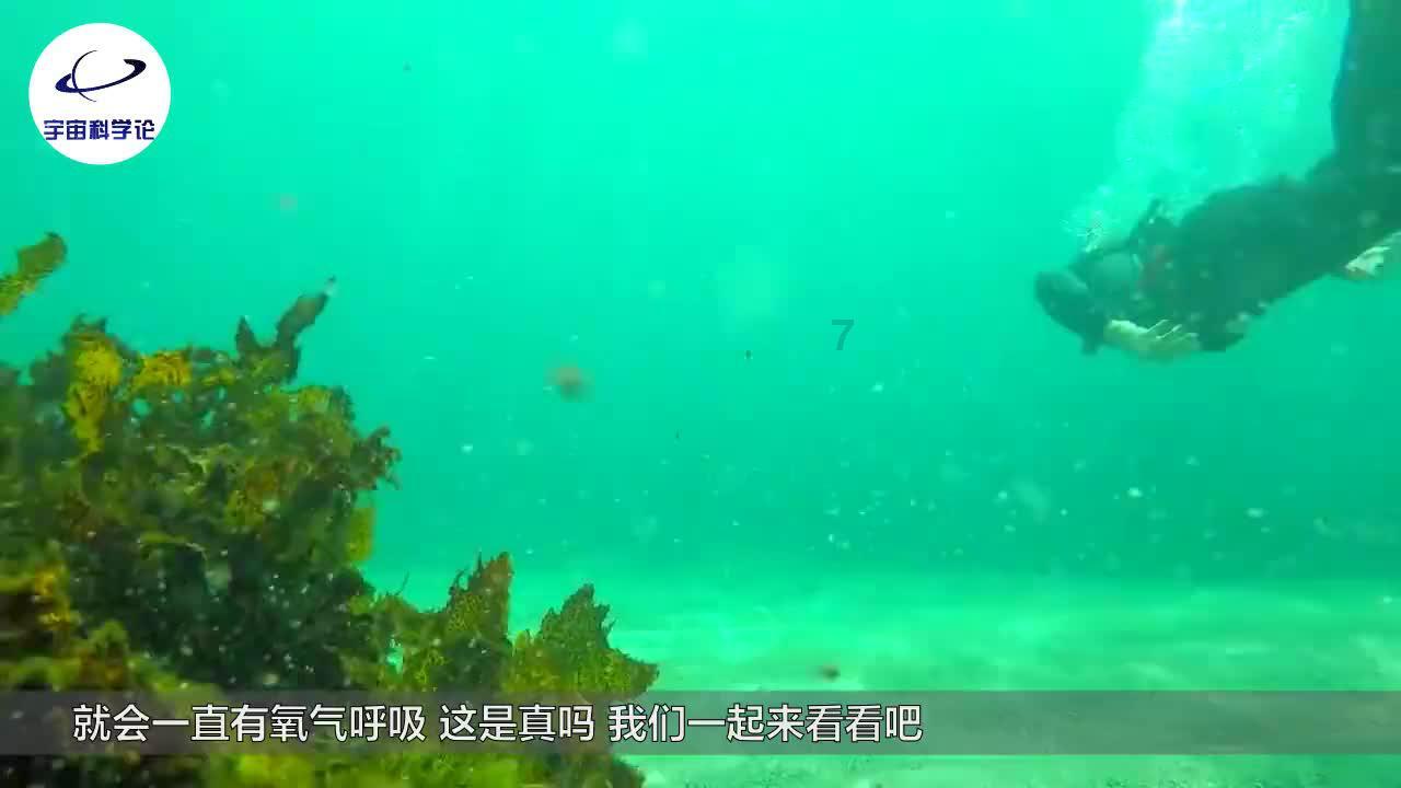 极限摩托大挑战